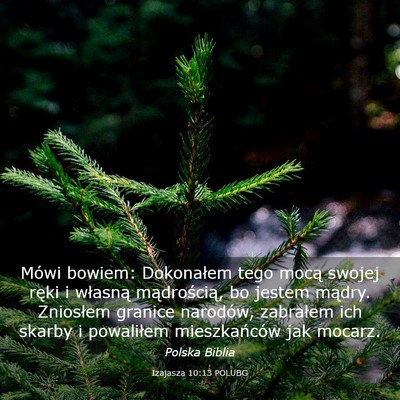 Picture 03 - Izajasza 10:13 POLUBG - Mówi bowiem: Dokonałem tego mocą swojej ręki - Bible Verse Picture