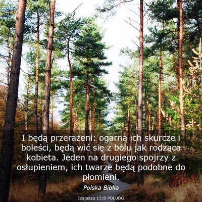 Picture 03 - Izajasza 13:8 POLUBG - I będą przerażeni: ogarną ich skurcze i - Bible Verse Picture