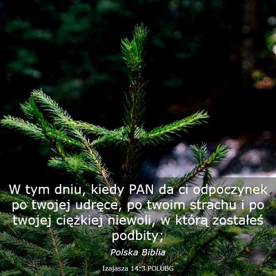 Picture 03 - Izajasza 14:3 POLUBG - W tym dniu, kiedy PAN da ci odpoczynek po twojej - Bible Verse Picture