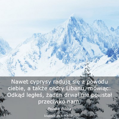 Picture 03 - Izajasza 14:8 POLUBG - Nawet cyprysy radują się z powodu ciebie, a - Bible Verse Picture