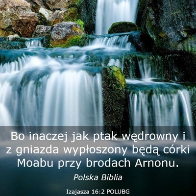 Picture 03 - Izajasza 16:2 POLUBG - Bo inaczej jak ptak wędrowny i z gniazda - Bible Verse Picture