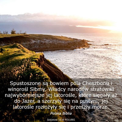 Picture 03 - Izajasza 16:8 POLUBG - Spustoszone są bowiem pola Cheszbonu i winorośl - Bible Verse Picture