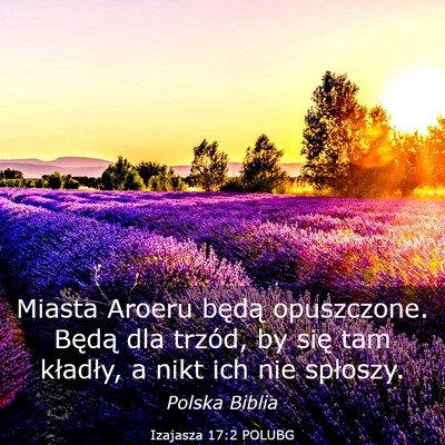 Picture 03 - Izajasza 17:2 POLUBG - Miasta Aroeru będą opuszczone. Będą dla - Bible Verse Picture