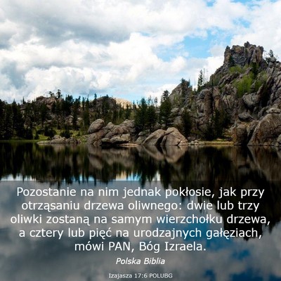 Picture 03 - Izajasza 17:6 POLUBG - Pozostanie na nim jednak pokłosie, jak przy - Bible Verse Picture