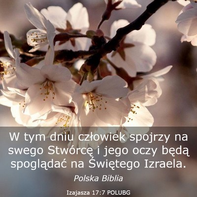 Picture 03 - Izajasza 17:7 POLUBG - W tym dniu człowiek spojrzy na swego Stwórcę i - Bible Verse Picture