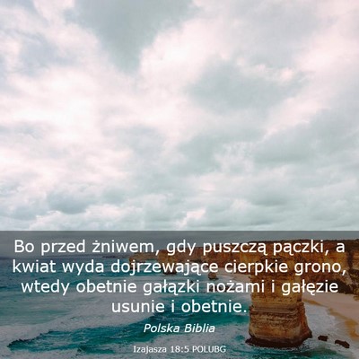Picture 03 - Izajasza 18:5 POLUBG - Bo przed żniwem, gdy puszczą pączki, a kwiat - Bible Verse Picture