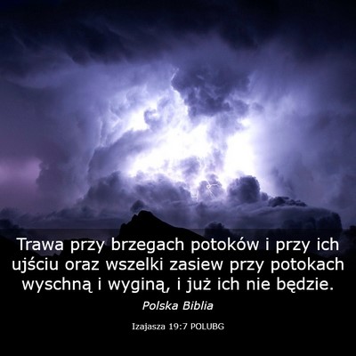Picture 03 - Izajasza 19:7 POLUBG - Trawa przy brzegach potoków i przy ich ujściu - Bible Verse Picture