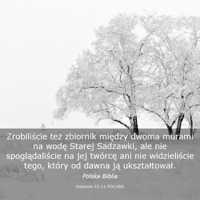 Picture 03 - Izajasza 22:11 POLUBG - Zrobiliście też zbiornik między dwoma murami - Bible Verse Picture