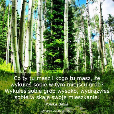 Picture 03 - Izajasza 22:16 POLUBG - Co ty tu masz i kogo tu masz, że wykułeś sobie - Bible Verse Picture