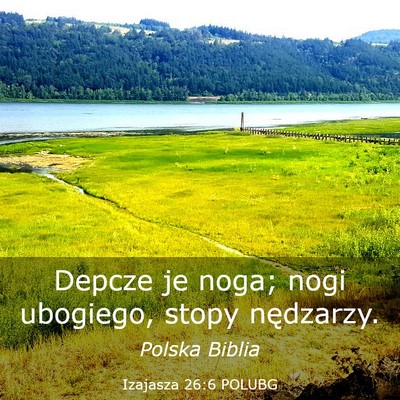 Picture 03 - Izajasza 26:6 POLUBG - Depcze je noga; nogi ubogiego, stopy - Bible Verse Picture