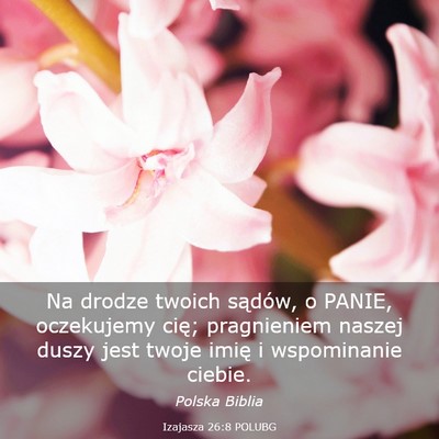 Picture 03 - Izajasza 26:8 POLUBG - Na drodze twoich sądów, o PANIE, oczekujemy - Bible Verse Picture