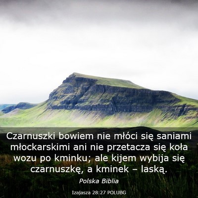 Picture 03 - Izajasza 28:27 POLUBG - Czarnuszki bowiem nie młóci się saniami - Bible Verse Picture