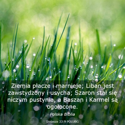 Picture 03 - Izajasza 33:9 POLUBG - Ziemia płacze i marnieje; Liban jest zawstydzony - Bible Verse Picture