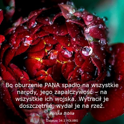 Picture 03 - Izajasza 34:2 POLUBG - Bo oburzenie PANA spadło na wszystkie narody, - Bible Verse Picture