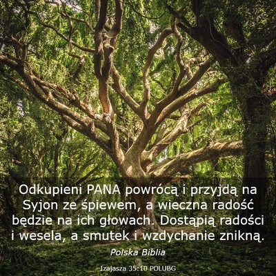 Picture 03 - Izajasza 35:10 POLUBG - Odkupieni PANA powrócą i przyjdą na Syjon ze - Bible Verse Picture
