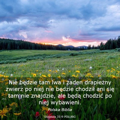 Picture 03 - Izajasza 35:9 POLUBG - Nie będzie tam lwa i żaden drapieżny zwierz po - Bible Verse Picture