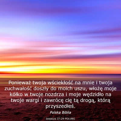 Picture 03 - Izajasza 37:29 POLUBG - Ponieważ twoja wściekłość na mnie i twoja - Bible Verse Picture