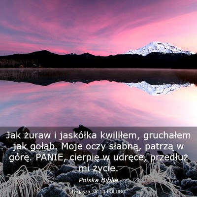 Picture 03 - Izajasza 38:14 POLUBG - Jak żuraw i jaskółka kwiliłem, gruchałem jak - Bible Verse Picture