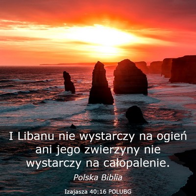 Picture 03 - Izajasza 40:16 POLUBG - I Libanu nie wystarczy na ogień ani jego - Bible Verse Picture