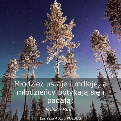 Picture 03 - Izajasza 40:30 POLUBG - Młodzież ustaje i mdleje, a młodzieńcy - Bible Verse Picture
