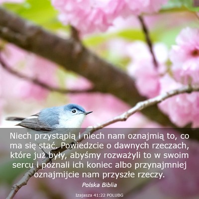 Picture 03 - Izajasza 41:22 POLUBG - Niech przystąpią i niech nam oznajmią to, co - Bible Verse Picture