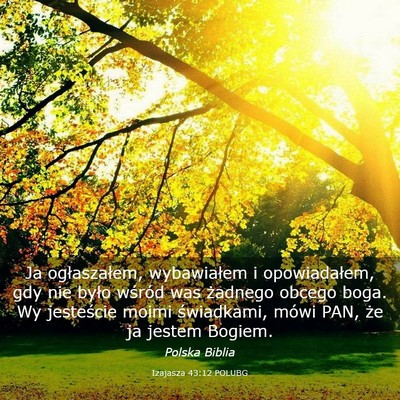 Picture 03 - Izajasza 43:12 POLUBG - Ja ogłaszałem, wybawiałem i opowiadałem, gdy - Bible Verse Picture