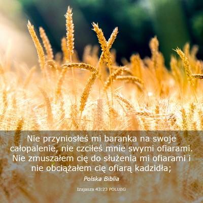 Picture 03 - Izajasza 43:23 POLUBG - Nie przyniosłeś mi baranka na swoje - Bible Verse Picture