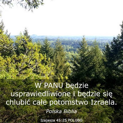 Picture 03 - Izajasza 45:25 POLUBG - W PANU będzie usprawiedliwione i będzie się - Bible Verse Picture