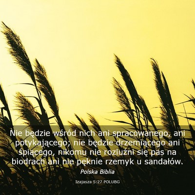 Picture 03 - Izajasza 5:27 POLUBG - Nie będzie wśród nich ani spracowanego, ani - Bible Verse Picture
