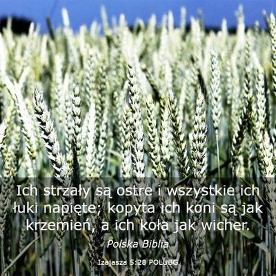 Picture 03 - Izajasza 5:28 POLUBG - Ich strzały są ostre i wszystkie ich łuki - Bible Verse Picture
