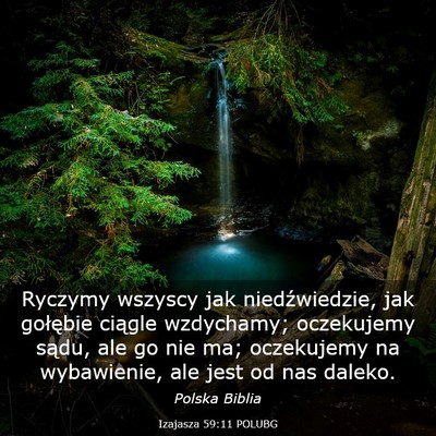 Picture 03 - Izajasza 59:11 POLUBG - Ryczymy wszyscy jak niedźwiedzie, jak gołębie - Bible Verse Picture