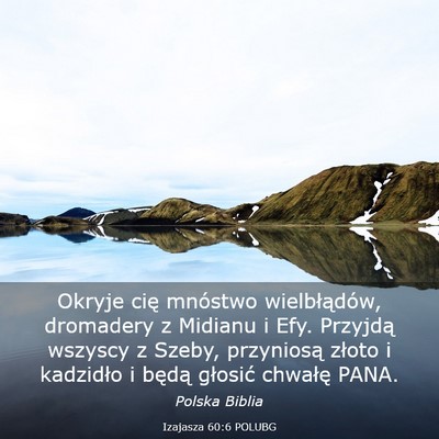 Picture 03 - Izajasza 60:6 POLUBG - Okryje cię mnóstwo wielbłądów, dromadery z - Bible Verse Picture