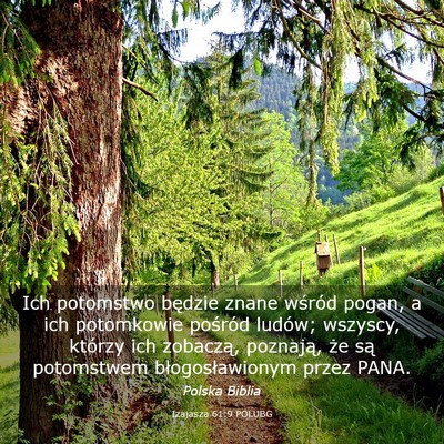 Picture 03 - Izajasza 61:9 POLUBG - Ich potomstwo będzie znane wśród pogan, a ich - Bible Verse Picture