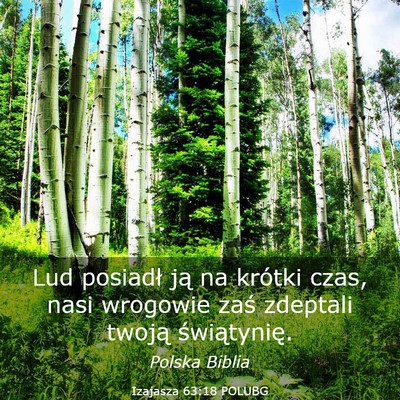 Picture 03 - Izajasza 63:18 POLUBG - Lud posiadł ją na krótki czas, nasi wrogowie - Bible Verse Picture
