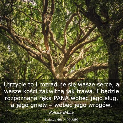 Picture 03 - Izajasza 66:14 POLUBG - Ujrzycie to i rozraduje się wasze serce, a wasze - Bible Verse Picture
