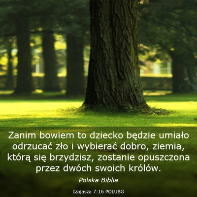 Picture 03 - Izajasza 7:16 POLUBG - Zanim bowiem to dziecko będzie umiało odrzucać - Bible Verse Picture
