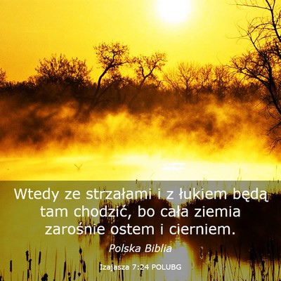 Picture 03 - Izajasza 7:24 POLUBG - Wtedy ze strzałami i z łukiem będą tam - Bible Verse Picture