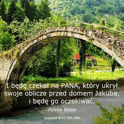 Picture 03 - Izajasza 8:17 POLUBG - I będę czekał na PANA, który ukrył swoje - Bible Verse Picture