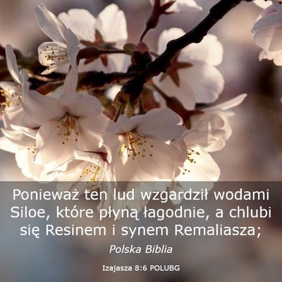 Picture 03 - Izajasza 8:6 POLUBG - Ponieważ ten lud wzgardził wodami Siloe, które - Bible Verse Picture