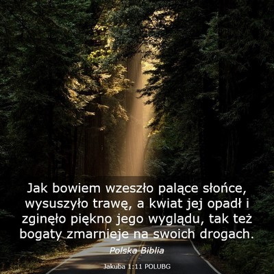 Picture 03 - Jakuba 1:11 POLUBG - Jak bowiem wzeszło palące słońce, wysuszyło - Bible Verse Picture