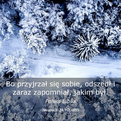 Picture 03 - Jakuba 1:24 POLUBG - Bo przyjrzał się sobie, odszedł i zaraz - Bible Verse Picture