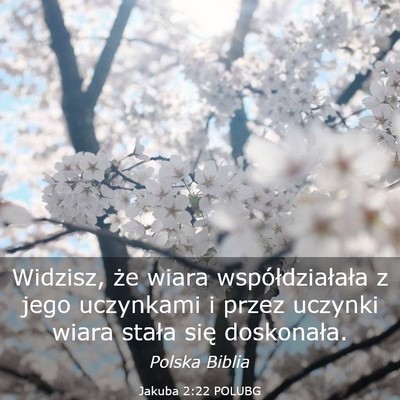 Picture 03 - Jakuba 2:22 POLUBG - Widzisz, że wiara współdziałała z jego - Bible Verse Picture