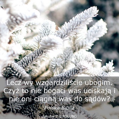 Picture 03 - Jakuba 2:6 POLUBG - Lecz wy wzgardziliście ubogim. Czyż to nie - Bible Verse Picture