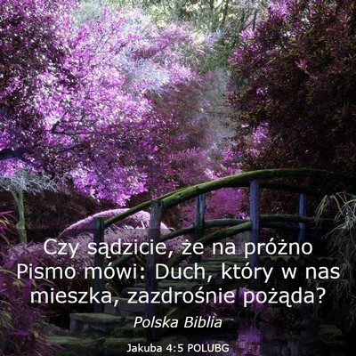Picture 03 - Jakuba 4:5 POLUBG - Czy sądzicie, że na próżno Pismo mówi: Duch, - Bible Verse Picture
