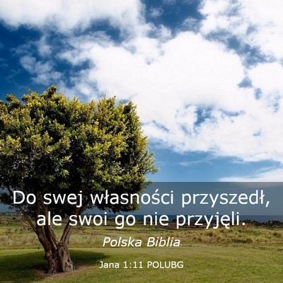 Picture 03 - Jana 1:11 POLUBG - Do swej własności przyszedł, ale swoi go nie - Bible Verse Picture
