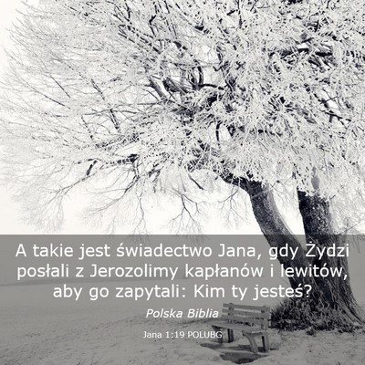 Picture 03 - Jana 1:19 POLUBG - A takie jest świadectwo Jana, gdy Żydzi - Bible Verse Picture