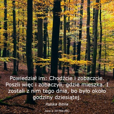 Picture 03 - Jana 1:39 POLUBG - Powiedział im: Chodźcie i zobaczcie. Poszli - Bible Verse Picture