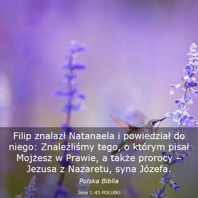 Picture 03 - Jana 1:45 POLUBG - Filip znalazł Natanaela i powiedział do niego: - Bible Verse Picture