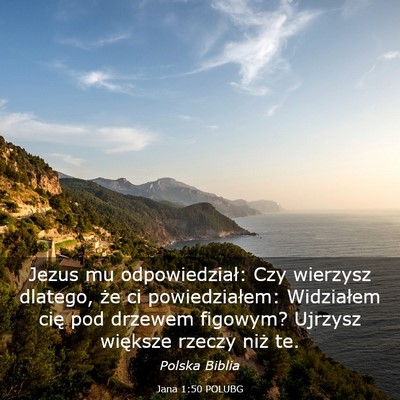 Picture 03 - Jana 1:50 POLUBG - Jezus mu odpowiedział: Czy wierzysz dlatego, że - Bible Verse Picture