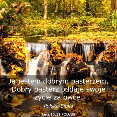 Picture 03 - Jana 10:11 POLUBG - Ja jestem dobrym pasterzem. Dobry pasterz oddaje - Bible Verse Picture